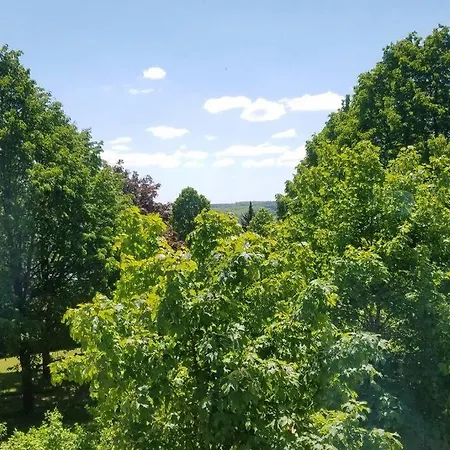 Alte-schule-kail 2 *